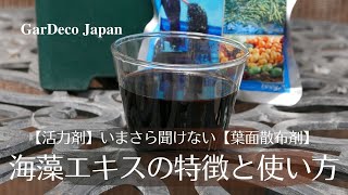 【いまさら聞けない】海藻エキスの特徴と使い方【活力剤・葉面散布剤】