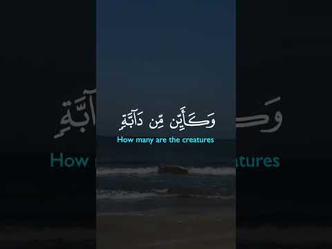 القرآن الكريم بسم الله الرحمن الرحيم المصحف راحة نفسية لايك سورة البقرة حالات واتس تصميمي 