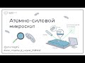 Атомно-силовой микроскоп | Все ответы в науке