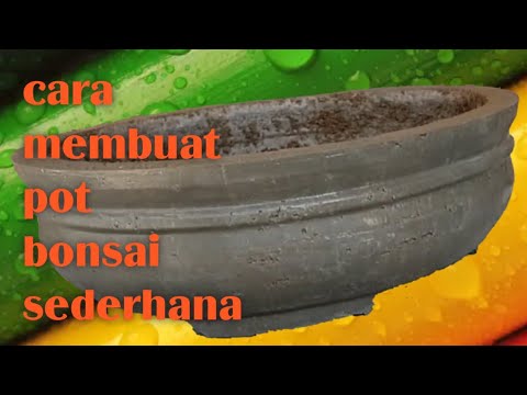  Cara  mudah membuat  pot  bonsai sederhana  dari semen YouTube