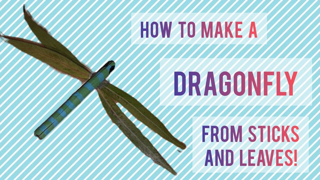 Make Sticks Insects How to Make a Dragonfly from Sticks And Leaves! - Arts & Crafts ...