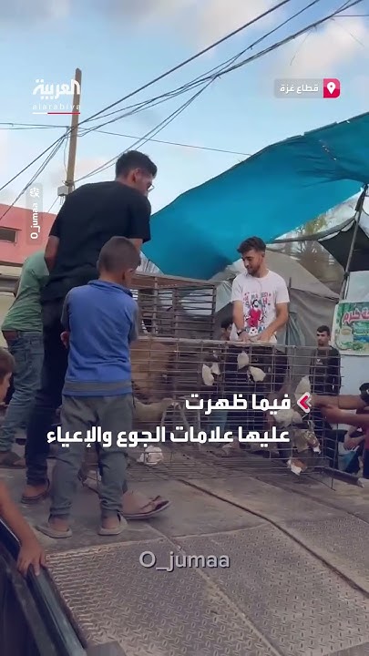          
 - نشر قبل 18 دقيقة