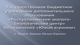 Занятие №5 Объединение «Юный агроном».