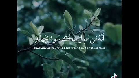 كَتَبَ رَبُّكُمْ عَلَىٰ نَفْسِهِ الرَّحْمَةَ ۖ  | القارئ الرائع الشيخ إدريس أبكر