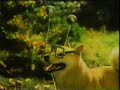 1982年のCM ザ テレビジョン 1982年のCM ザ テレビジョン