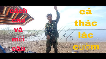 Chia sẽ cách câu cá thác lác cườm tự nhiên, tập 9