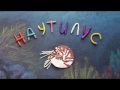 Наутилус. Nautilus.Пластилиновый познавательный мультфильм. Plasticine Animation.