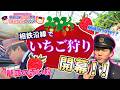 【いちご編】そうにゃんが行く！相鉄沿線ぶらり発見にゃんとグルメ