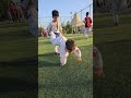 ابطالي الصغار بعمر ٥ سنوات #اطفال #غافرغايب #karate #الابطال #مشاهير #تدريب #sports #العراق #يوتيوب