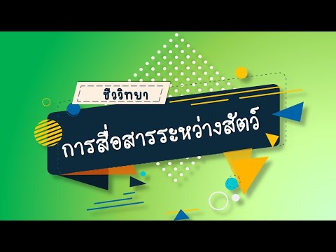 การสื่อสารระหว่างสัตว์ วิชาชีววิทยา ม.6