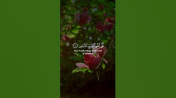 سورة الناس | مشاري بن راشد العفاسي