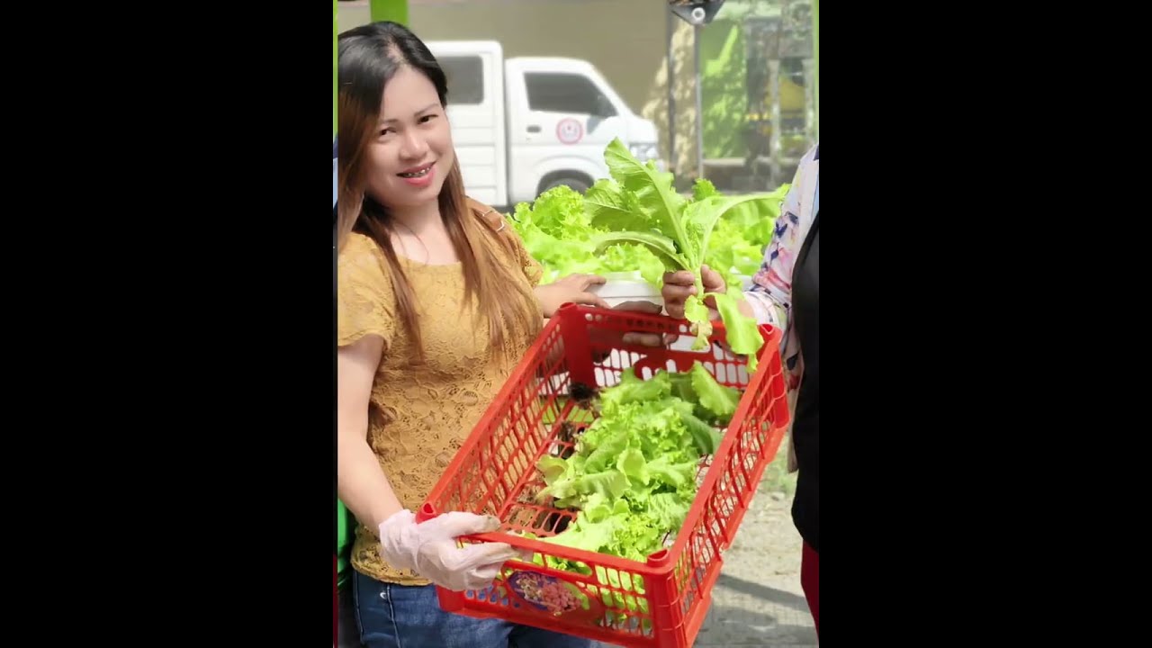 The Search for the Best Hydroponics Garden 2026