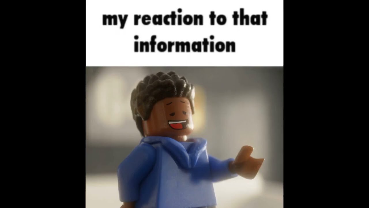 My Reaction To That Information but in LEGO - YouTube