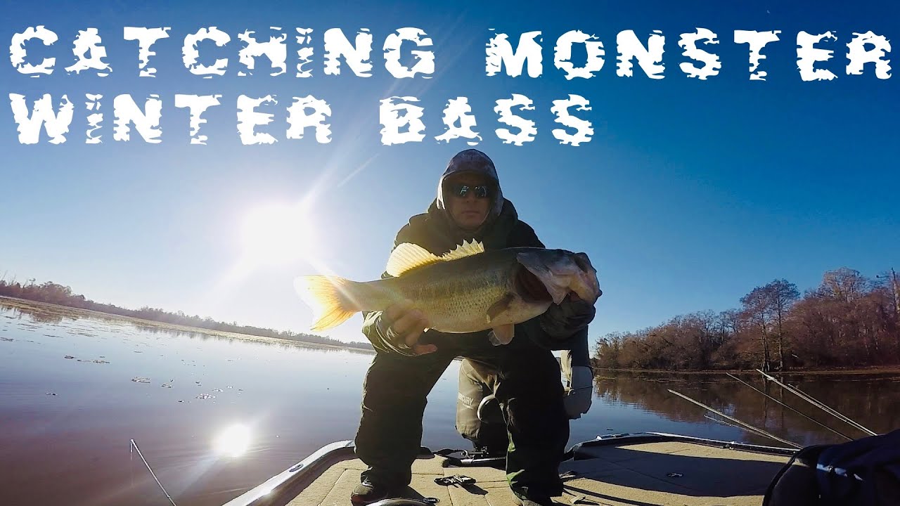 Lake O’ The Pines TX  Winter Bass Fishing