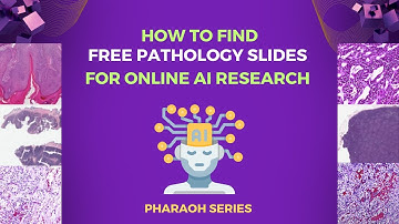 How To Find Pathology Slides Online for AI Research