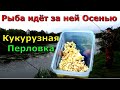 КУКУРУЗНАЯ ПЕРЛОВКА. Супер рыболовная насадка по холодной воде. Насадка для карася леща карпа .