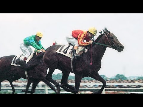 競馬パネル：カブラヤオー「1975年 第42回東京優駿」 競馬パネル：カブラヤオー「1975年 第42回東京優駿」 競馬パネル