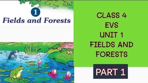 Kerala syllabus class 4 EVS/PART 1/Fields and forest/eduteacherkerala