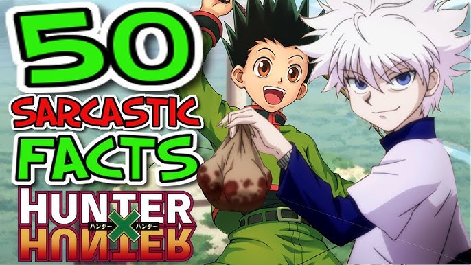 Sarcastic Anime Trailers - Hunter x Hunter (All Arcs) 