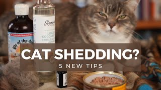 How to Stop Cat Shedding with Antishedding Spray Recipe