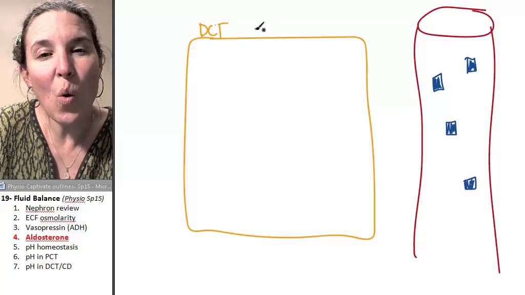 Fluid balance 4- Aldosterone