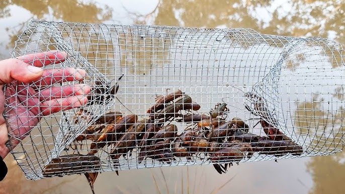 Which Yabby Nets To Use For Different Situations 