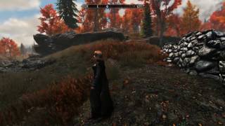 Skyrim SE  - Test MOD Varie