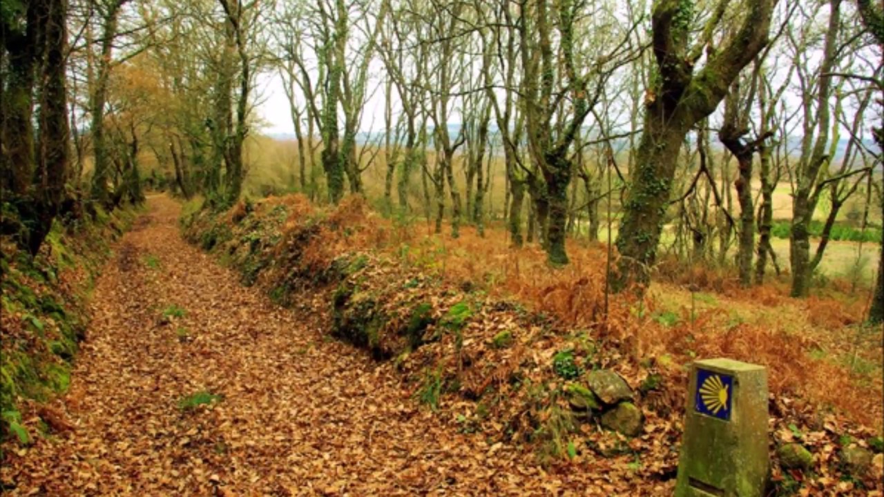 Cual es el camino de santiago mas bonito