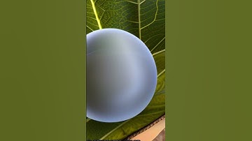 Natural Fibre Composites and Their Applications: A Review | RTCL.TV