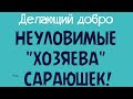 Делающий добро.НЕУЛОВИМЫЕ &quot;ХОЗЯЕВА&quot; САРАЮШЕК!