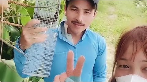 Hai vợ chồng đi đặc rắn mối trong mùa nước lũ về đây nhé cả nhà 