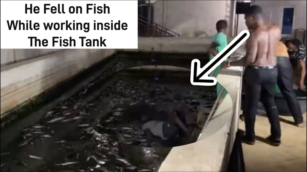 How He Fell on Fish while packing out Fish from the Pond - YouTube