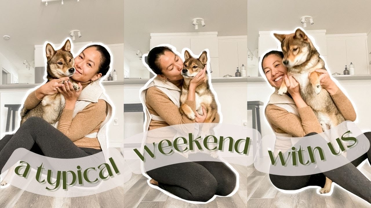 my SHIBA INU might got a new BESTIE? 🤎😱 - YouTube