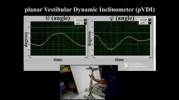 Bioinspired Inertial Sensing