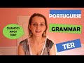 TER (to have) in European Portuguese. How old are you? Grammar