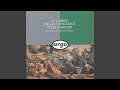 Miniature de la vidéo de la chanson Concerto For Oboe, Strings And Continuo In D Minor, Bwv 1059A (Reconstruction): Ii. Adagio