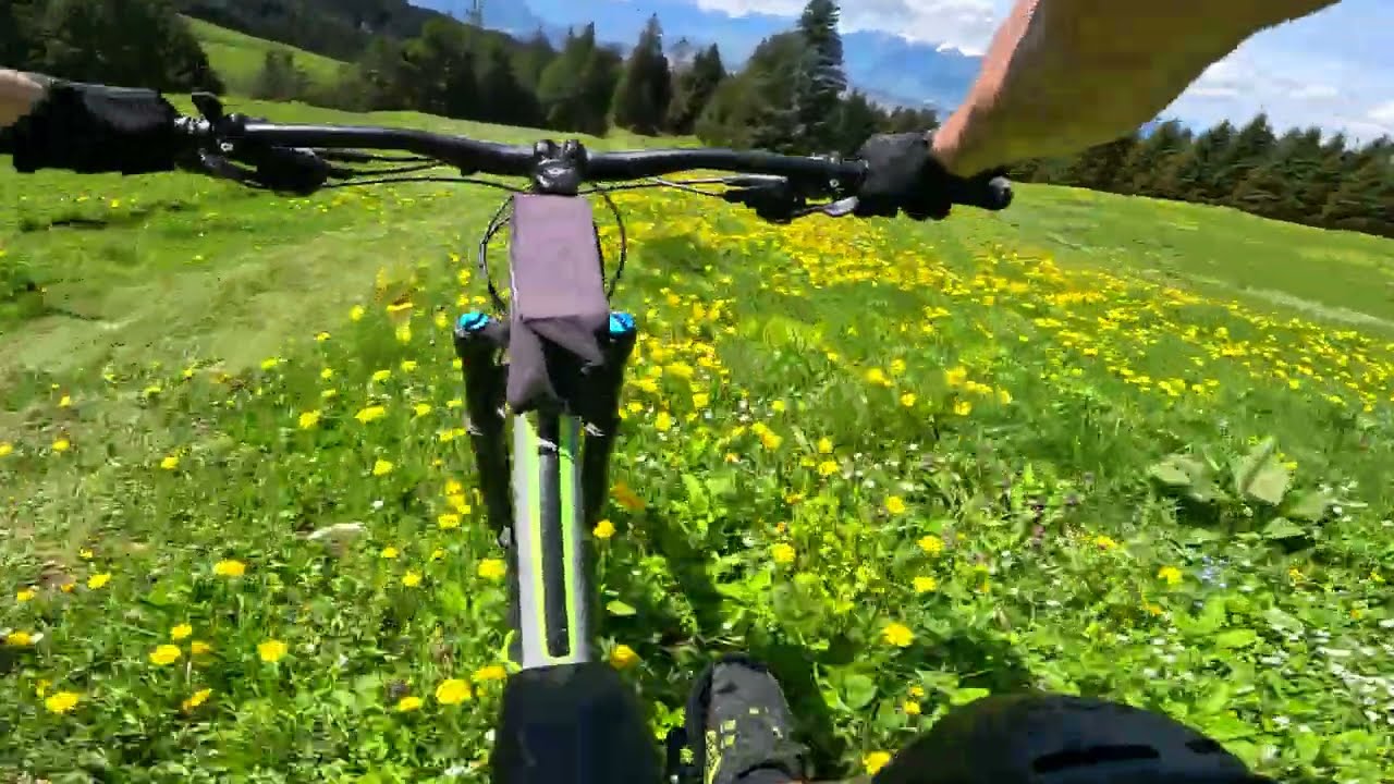Downhill  Hohe Kugel