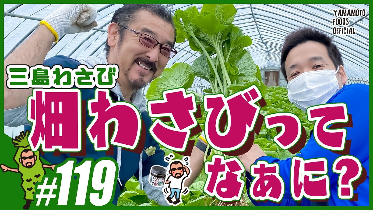 【比較】畑わさびってなぁに？水（沢）わさびの違いを分かりやすく説明【わさびチャンネル119】
