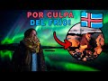 Ver la Aurora en Reykjavik GRATIS! (Lo malo, me hice pipí del frío)