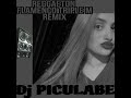 Reggaeton flamenco triple m remix dj piculabe