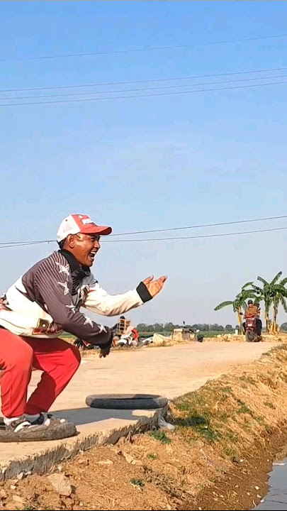 Joki Viral #lombamerpatibalapsprint#merpatibalapsprint#burungdara#shortsfeed#shortsviral