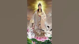 namo guan shi yin pusa chanting 🌊🌊🌊 1hour