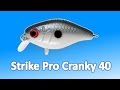 Strike Pro Cranky 40 - воблер на голавля (часть 2). На реке!