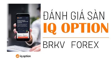 IQ OPTION CÓ PHẢI SÀN FOREX TỐT? ĐÁNH GIÁ SÀN IQ OPTION | BRKV Forex
