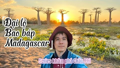 Ngỡ ngàng vẻ đẹp đại lộ bao báp Madagascar,loài cây huyền thoại châu Phi.Tiết lộ sự thật buồn