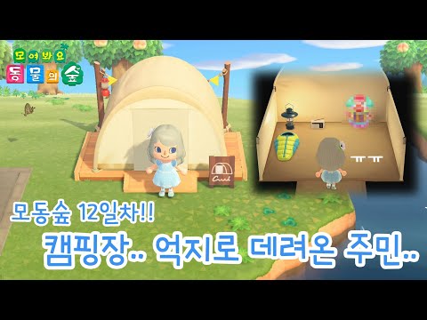 칸나촌장 모동숲 캠핑장에서 마음에 안드는 주민 억지로 데려오기ㅠㅠ Mp3