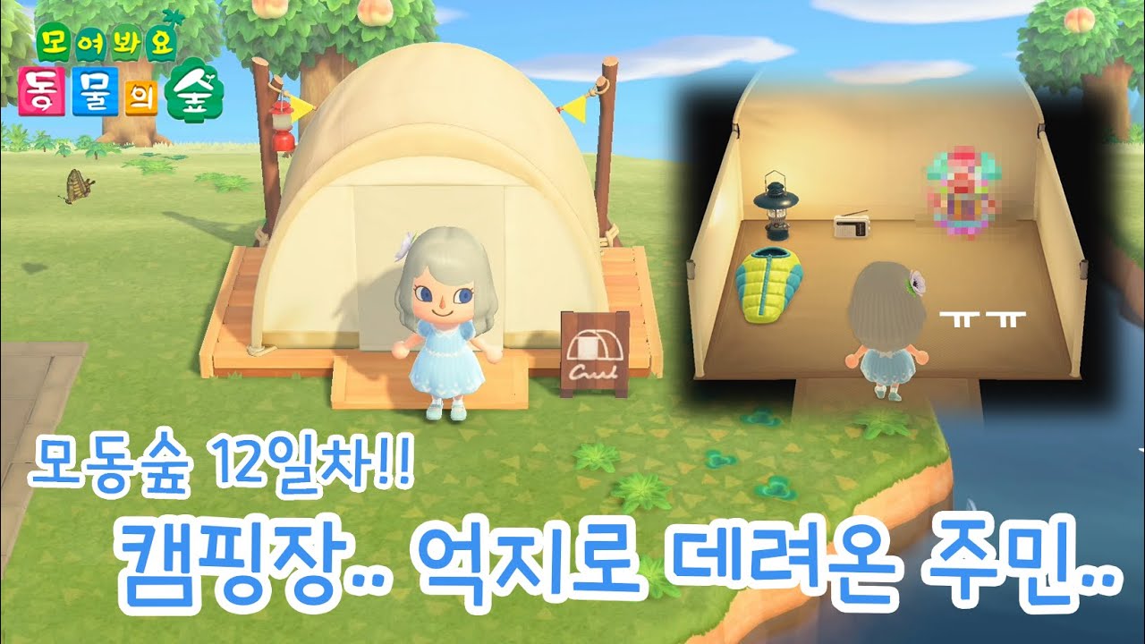 칸나촌장] 모동숲 캠핑장에서 마음에 안드는 주민 억지로 데려오기ㅠㅠ - Youtube