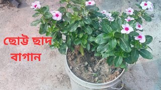 My First Video About Chad Bagan