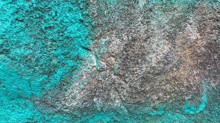 Prehistoric Native American Petroglyphs Along Difficult Run in Great Falls Park, Virginia.