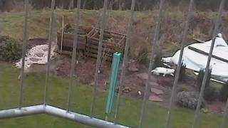 Cat attacks deer (roebuck), deer attacks cat. Funny cat. Funniest animal video.